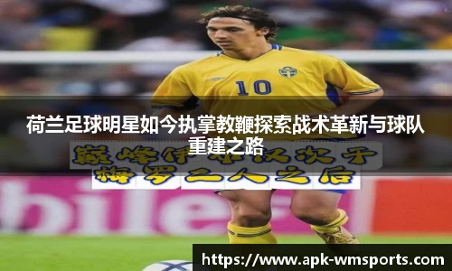 完美体育平台
